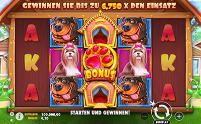 Der Slot The Dog House im Mozzart Casino.