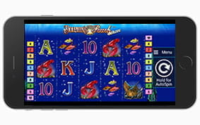 Dolphins Pearl Deluxe mobil spielen