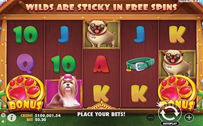 The Dog House Spielautomat von Pragmatic Play.