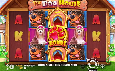 The Dog House im N1 Bet Online Casino
